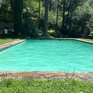 Tipo Loft Ribes De Freser